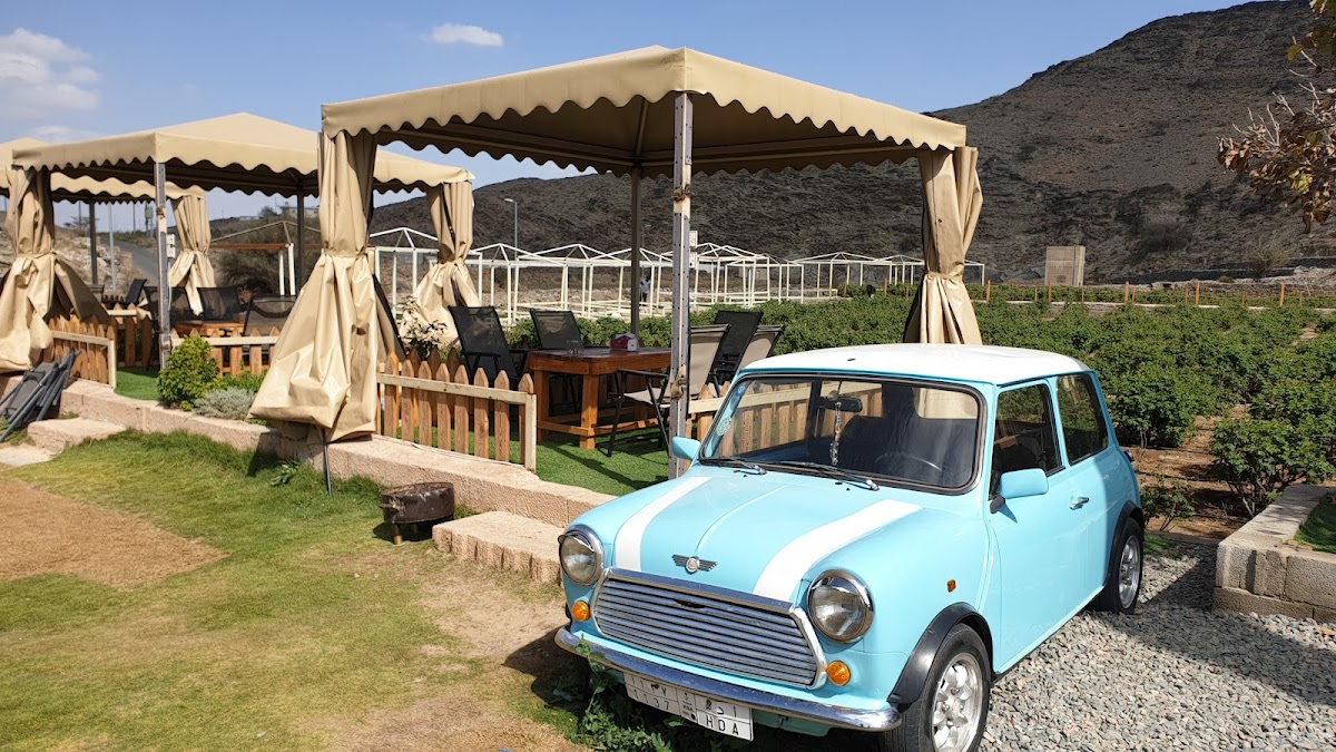 مزرعة ومصنع بن سلمان للورد الطائفي - صورة 2