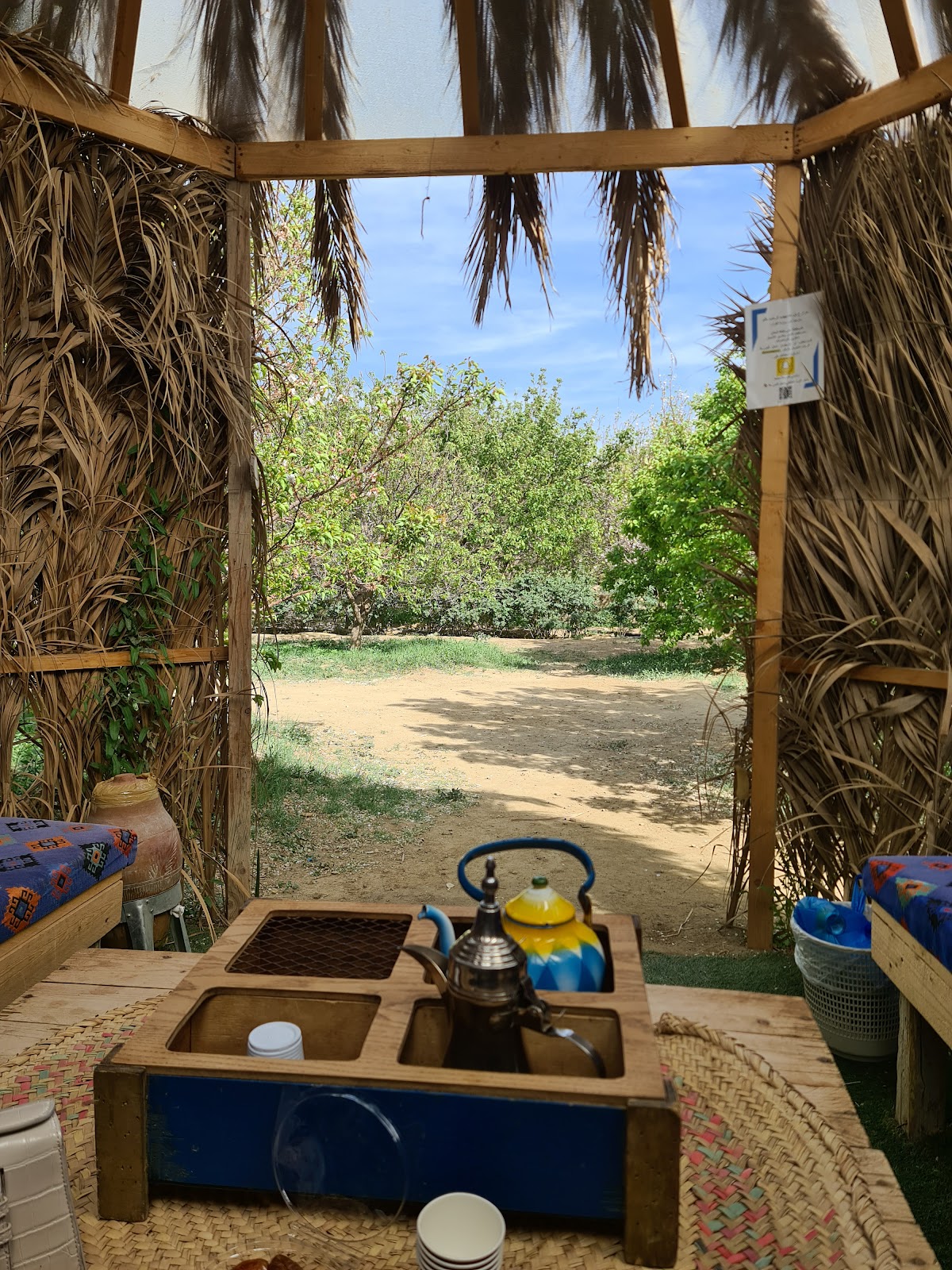 مزرعة سالم بن مشيهب للورد الطائفي - صورة 3