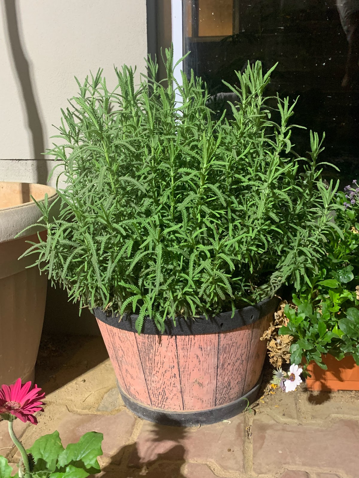 شاليهات هان ريڤر الفندقية - 5