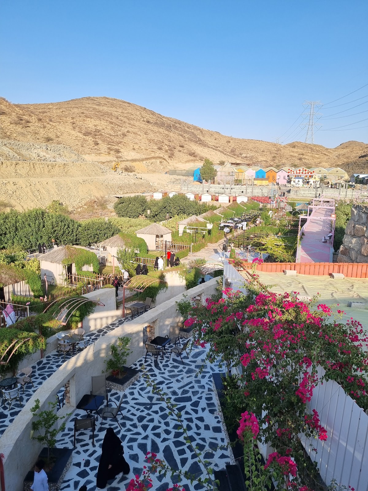 مزرعة الفراولة ورد الطائف - 4