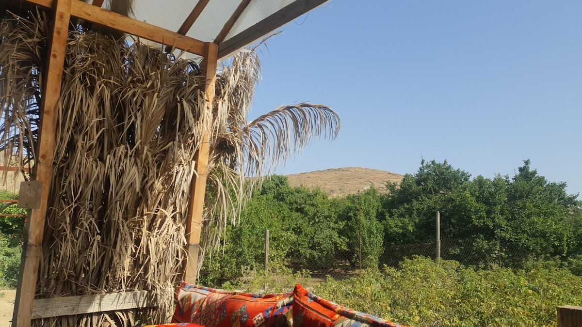 مزرعة سالم بن مشيهب للورد الطائفي - 4