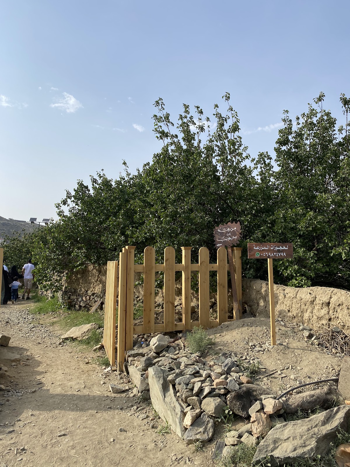 مزرعة سالم بن مشيهب للورد الطائفي - 5