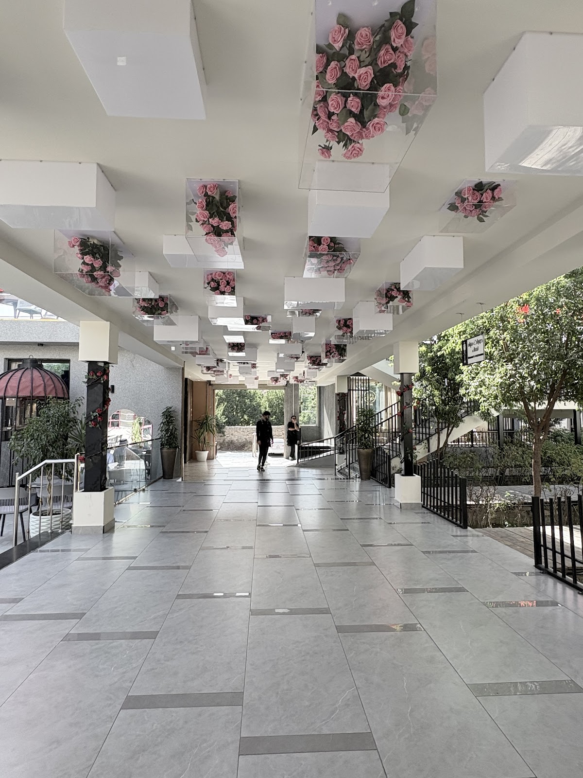 مزرعة وكوفي الشيوخ - 3